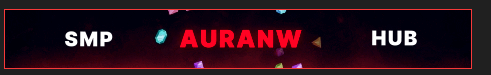 AuraNetwork Minecraft sunucu banner